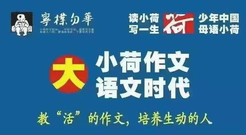 正 育 邦教育精品课程暑期第二期报名开始啦......