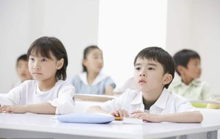 丹青教育加盟 加盟费 招商代理条件 电话 中国教育招商网