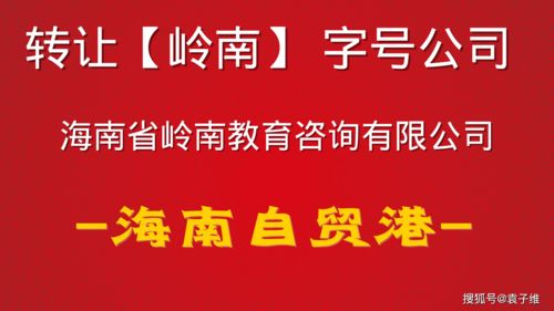 高端教育咨询公司